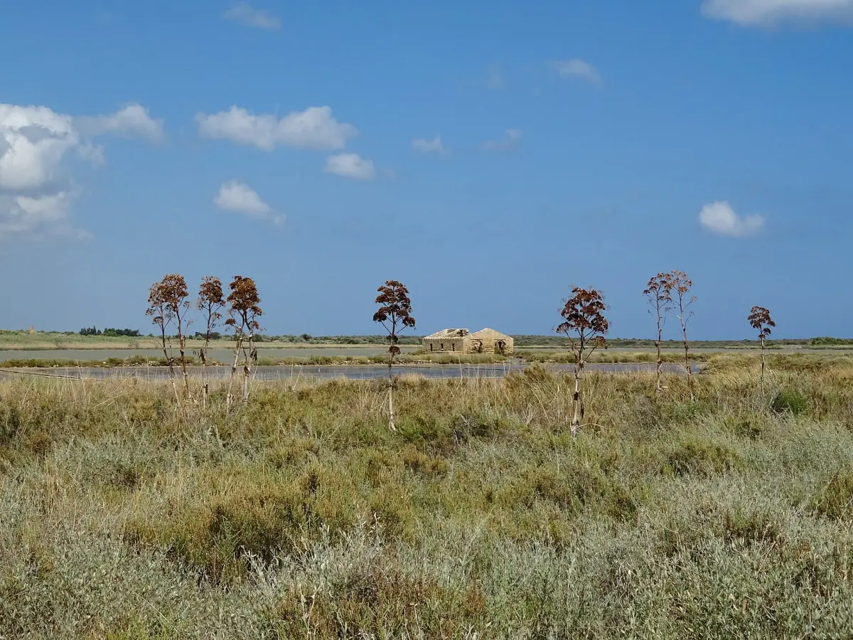 The salt marsh in the Vendicari reserve